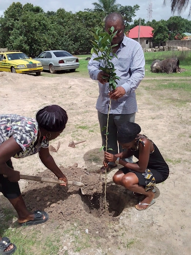 ELCTG – Evangelical Lutheran Church of The Gambia